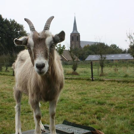 B&B 'T Lierderholt Lierderholthuis 外观 照片