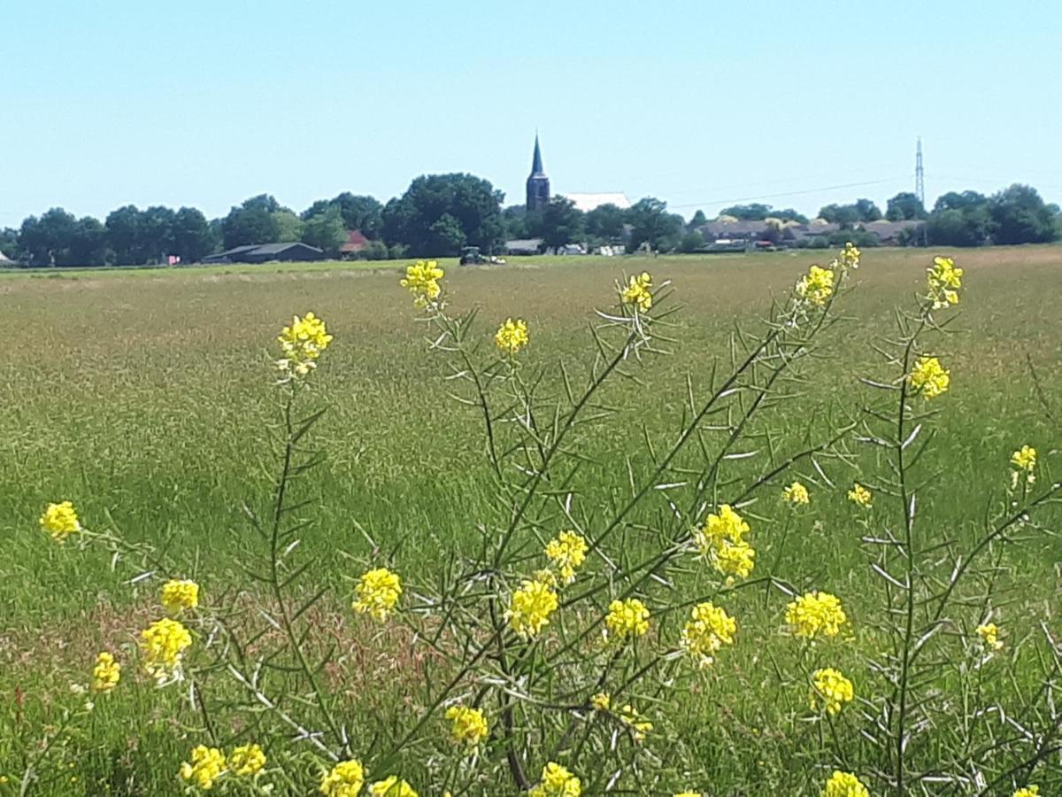 B&B 'T Lierderholt Lierderholthuis 外观 照片